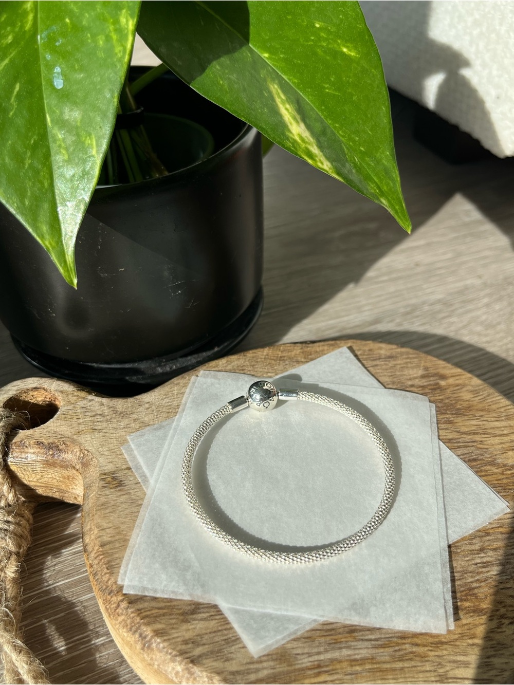 Pandora Moments Mesh Charm Bracelet